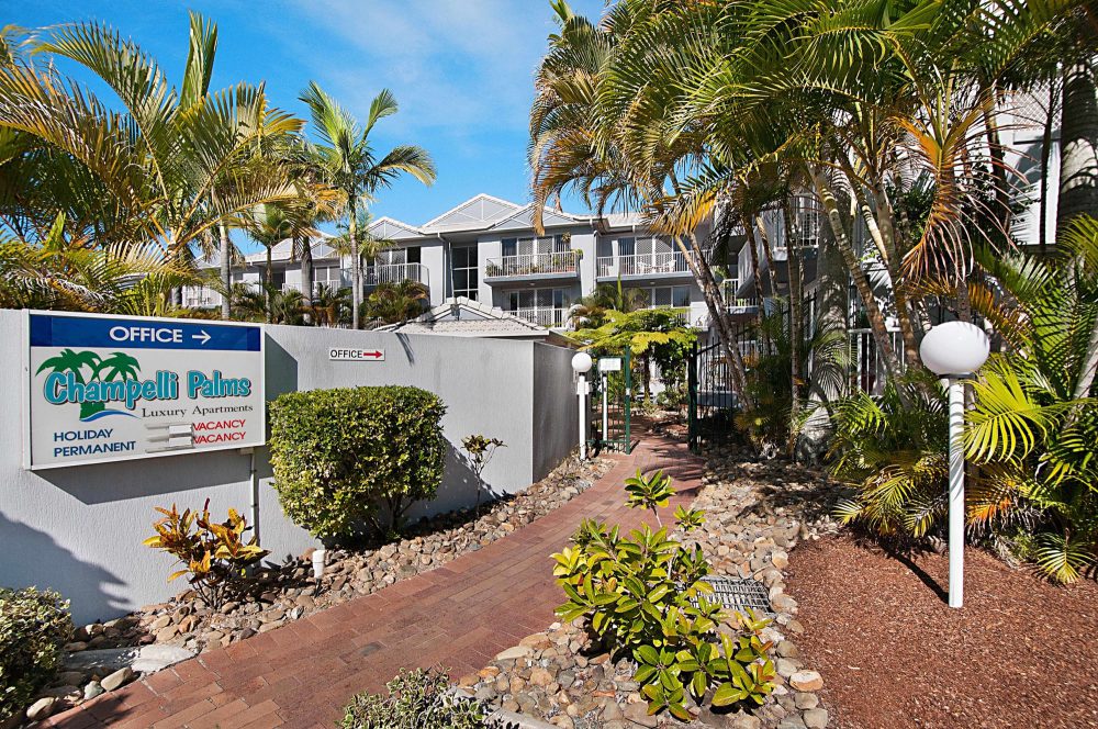 Runaway Bay Champelli Palms