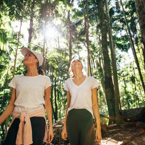 hinterland-women-on-walking-trail-under-trees